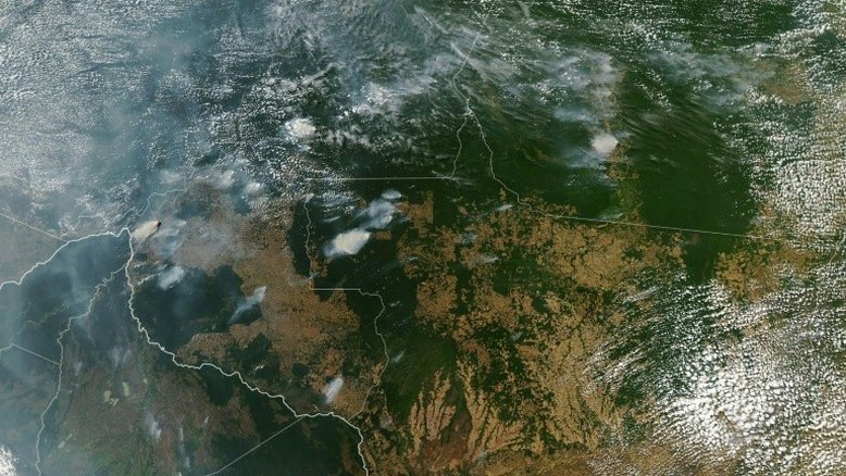 Incêndios na Floresta Amazônica são alvo de desinformação