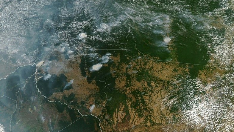 Incêndios na Floresta Amazônica são alvo de desinformação