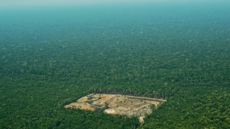 Noruega bloqueia repasse de R$ 133 milhões ao Fundo Amazônia