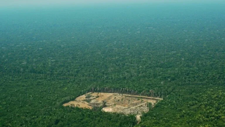 G7 anuncia que vai desbloquear  20 milhões de euros para a Amazônia