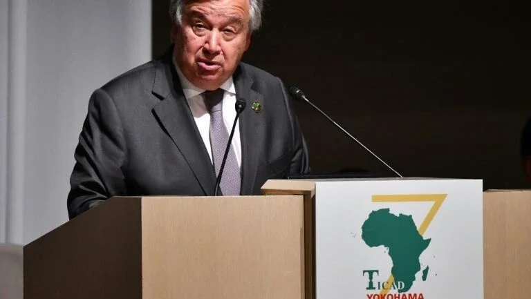 Secretário-geral da ONU quer organizar cúpula sobre a Amazônia