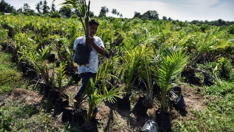 Indonésia ameaça aumentar tarifas sobre laticínios europeus