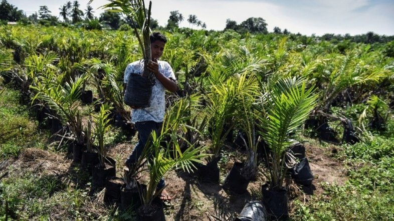 Indonésia ameaça aumentar tarifas sobre laticínios europeus