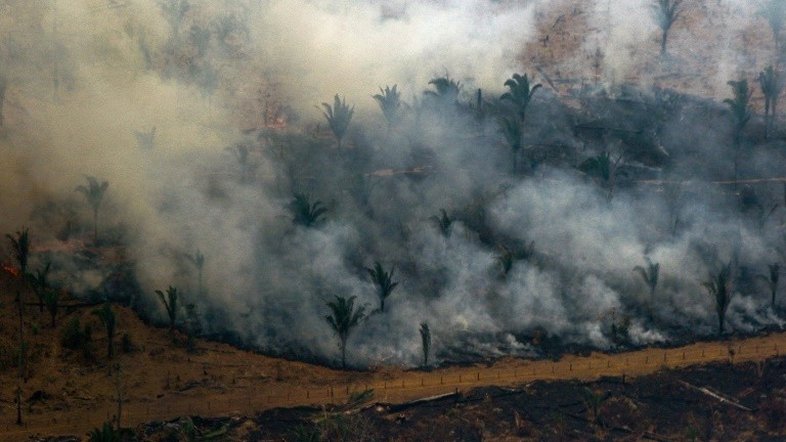 Relatos indicam que incêndios são criminosos