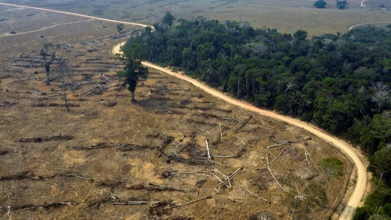 Agricultor afirma que desmata Amazônia 'para sobreviver'