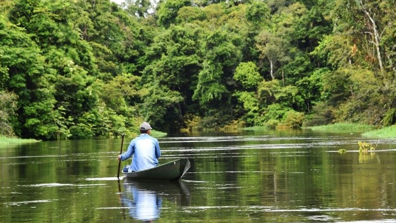 Desmatamento é 'principal causa' de incêndios na Amazônia, afirma pesquisador