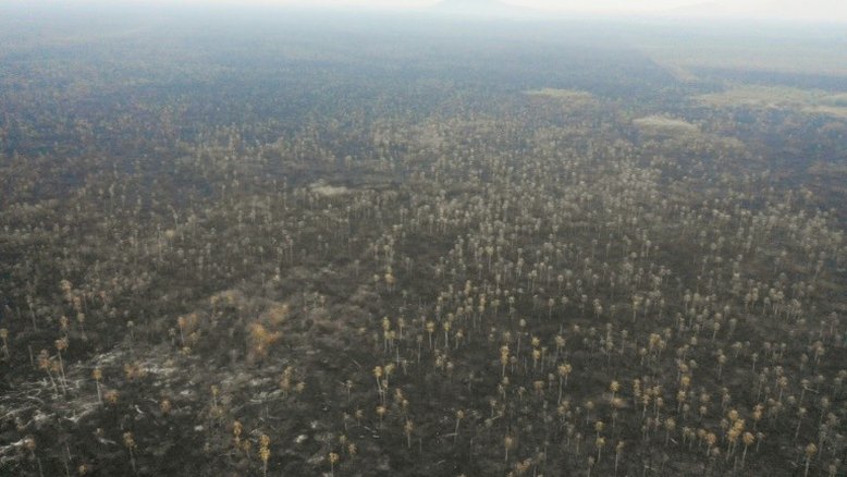 Bolívia anuncia que extinguiu 85% do grande incêndio florestal