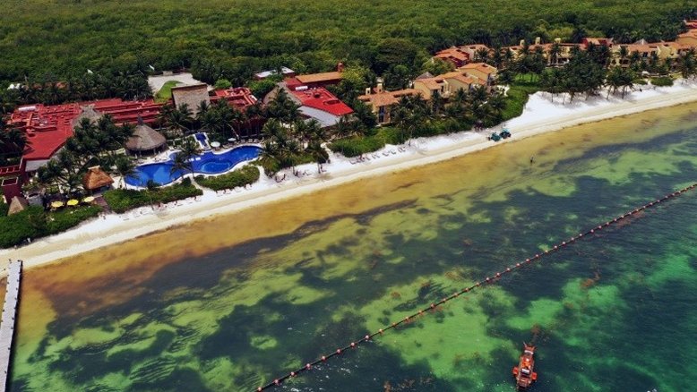 Principais praias turísticas do Caribe mexicano estão limpas de sargaço