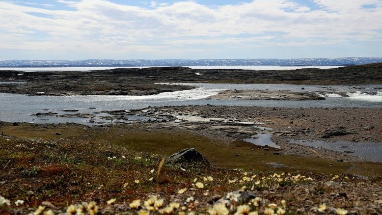 Canadá amplia proteção das zonas marítimas do Ártico