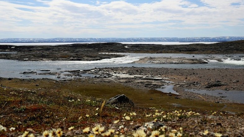 Canadá amplia proteção das zonas marítimas do Ártico