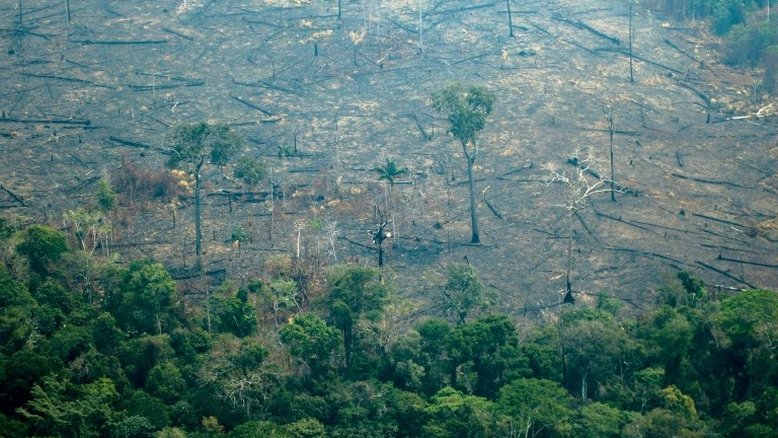 G7 mobiliza meios para combater incêndios na Amazônia