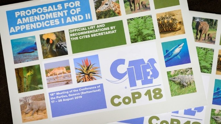 Cites pede proteção de espécies ameaçadas após decisão polêmica de Trump