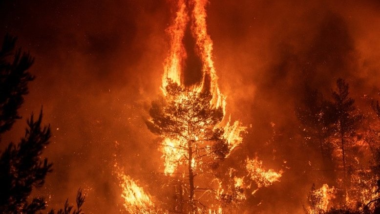Incêndio em ilha grega provoca "catástrofe ecológica"
