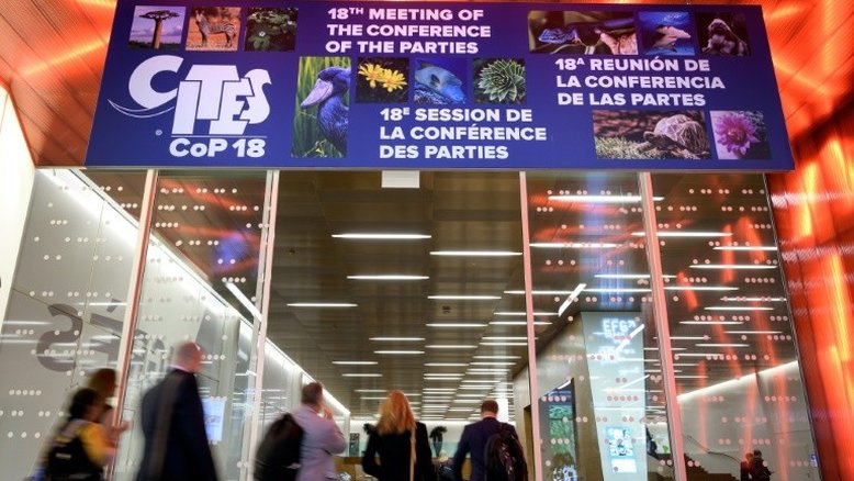 Congresso debate normas comerciais mais rígidas para conter extinção de animais