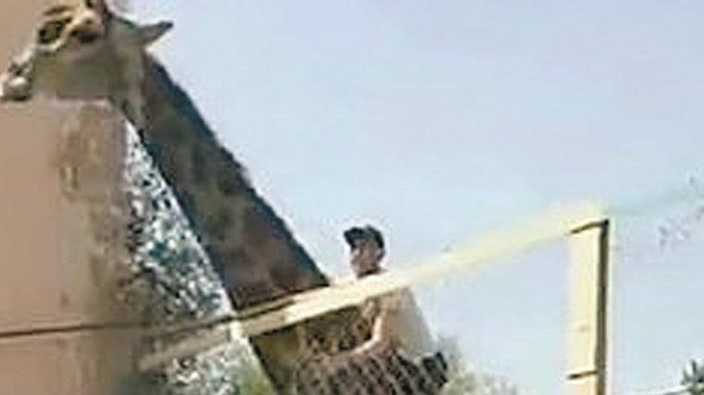 Reprodução/ Instagram