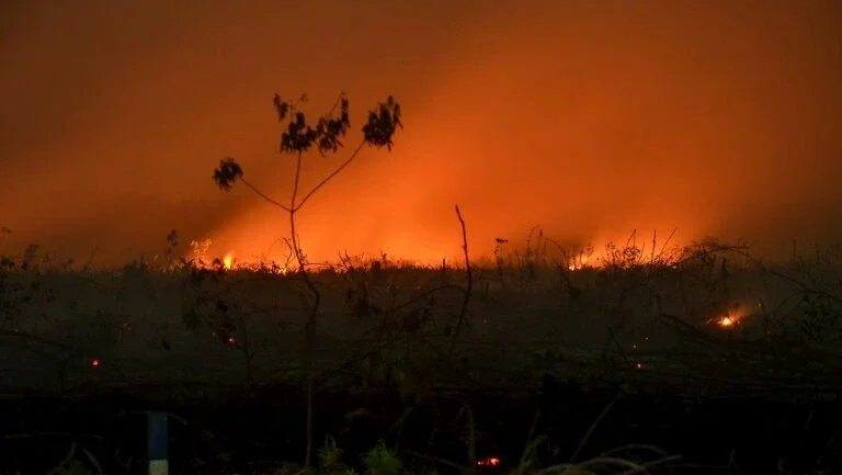 Incêndios devastam floresta tropical na Indonésia