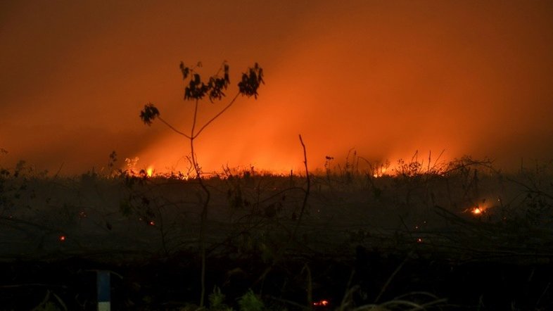 Incêndios devastam floresta tropical na Indonésia