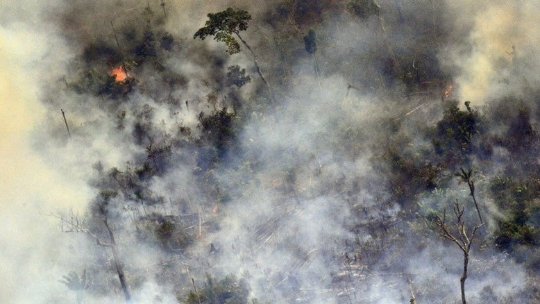 Amazônia: Israel envia grupo de especialistas ao Brasil