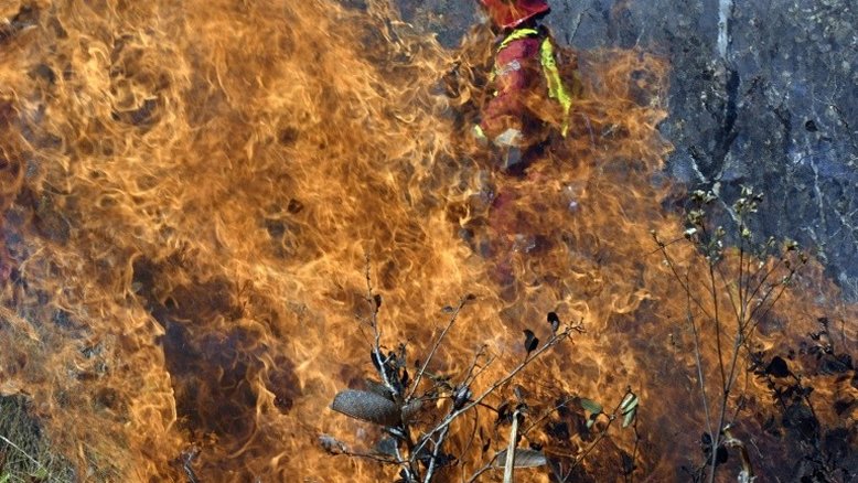 Cinco focos de incêndio continuam sem controle na Bolívia