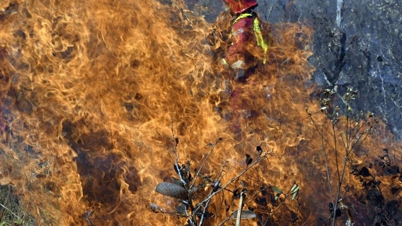 Cinco focos de incêndio continuam sem controle na Bolívia
