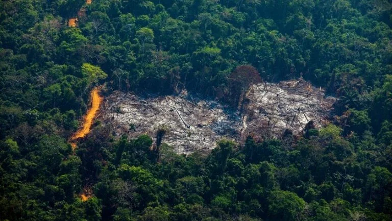Brasil defende na ONU sua gestão da Amazônia