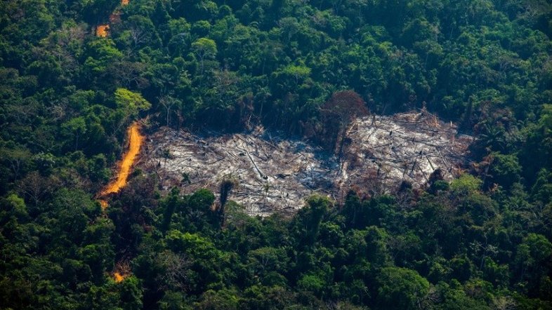 STF homologa acordo de R$ 1 bi para Amazônia e R$ 1,6 bi para educação