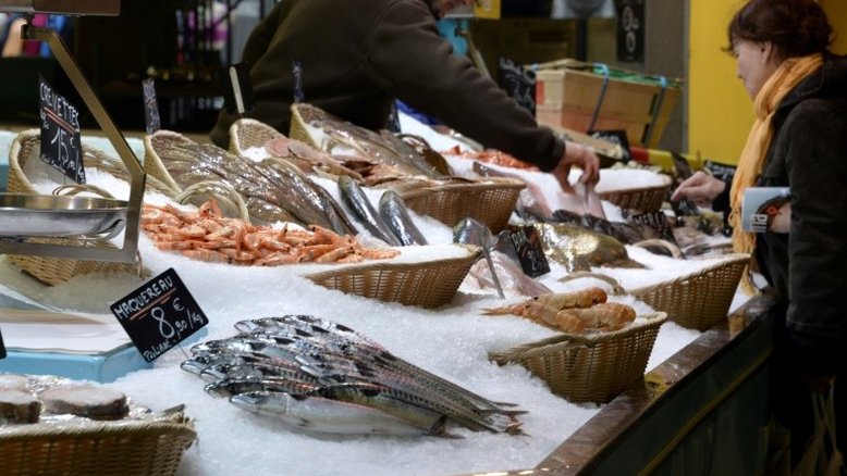 Mudanças climáticas alteram consumo de peixe na Europa