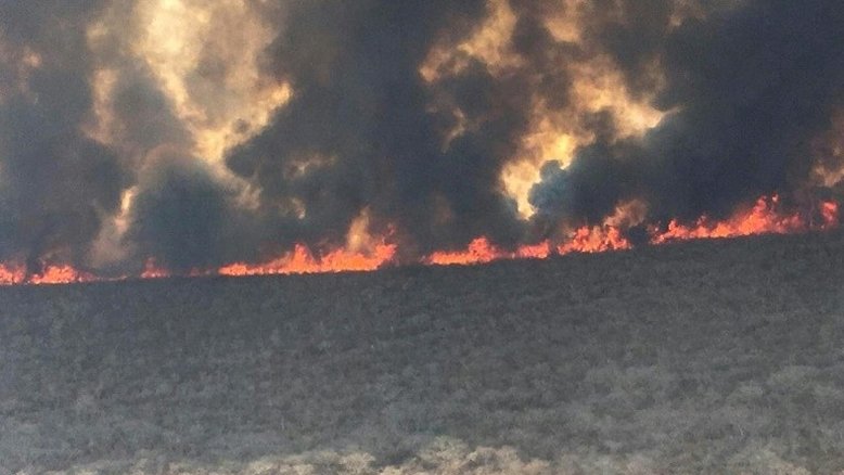 Incêndios na Bolívia continuam e danos à vida selvagem são incalculáveis