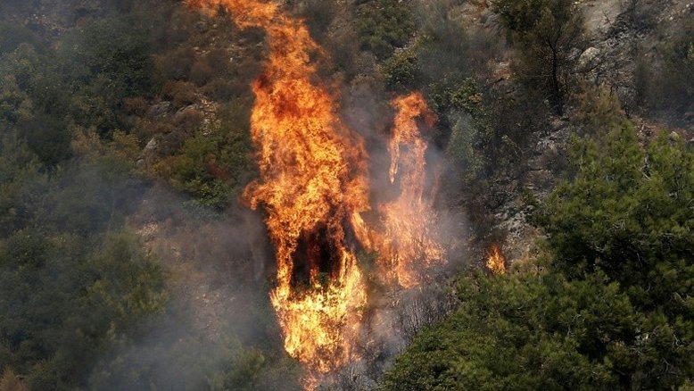 Incêndios atingem várias regiões da Síria e do Líbano