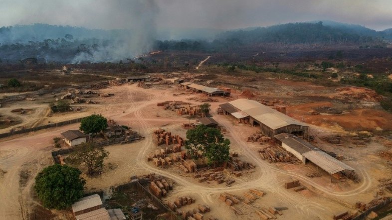 Brasileiros contam como é viver na floresta amazônica