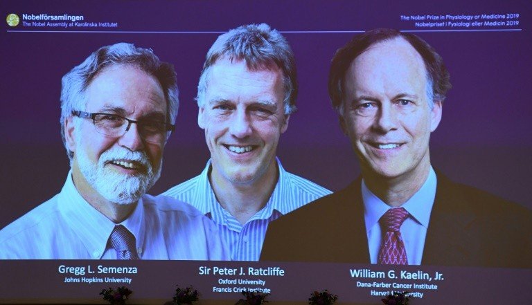 Nobel de medicina premia estudos sobre adaptação do corpo a níveis de oxigênio