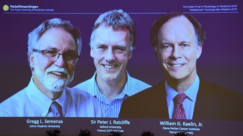 Nobel de Medicina premia trio por pesquisas sobre a adaptação das células ao oxigênio