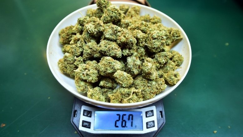 Projeto de lei tenta solucionar conflito de bancos com maconha nos EUA