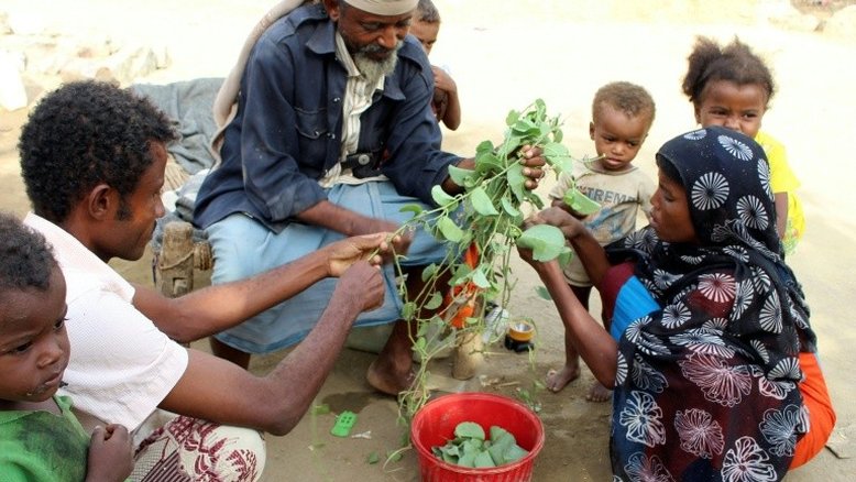 Iêmen pode virar o país mais pobre do mundo se a guerra continuar