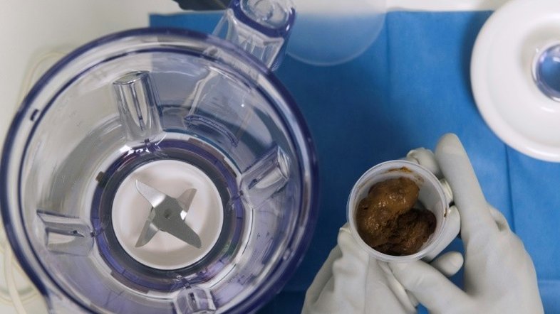 Transplante de matéria fecal, uma terapia que pode salvar vidas