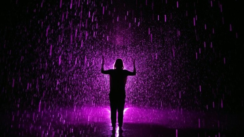 Herdeiros de Prince criticam Trump por usar música do cantor em comício