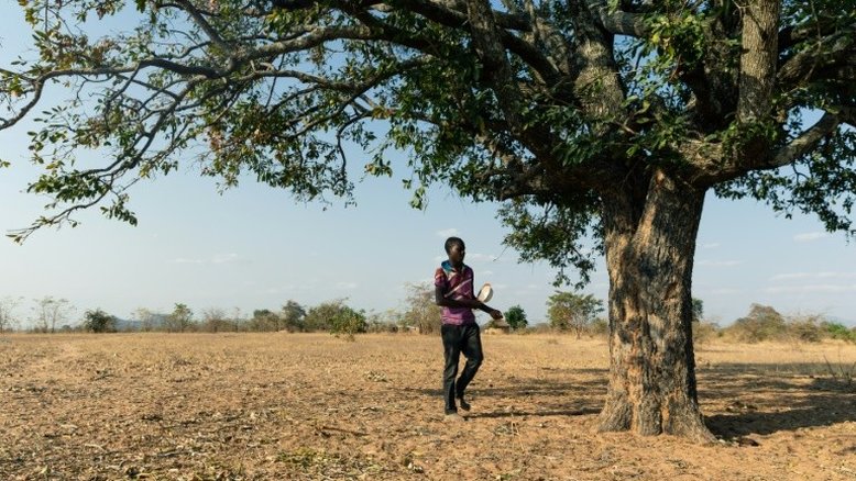 Seca ameaça 45 milhões de pessoas na África Austral