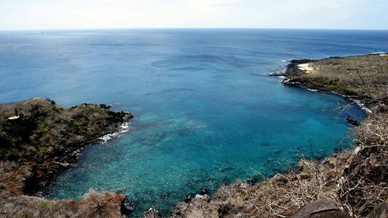 Identificadas duas novas espécies de lagartixa em Galápagos