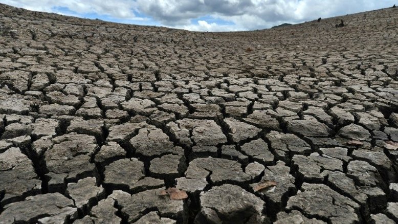 Centro-americanos e brasileiros tentam salvar agricultura das secas