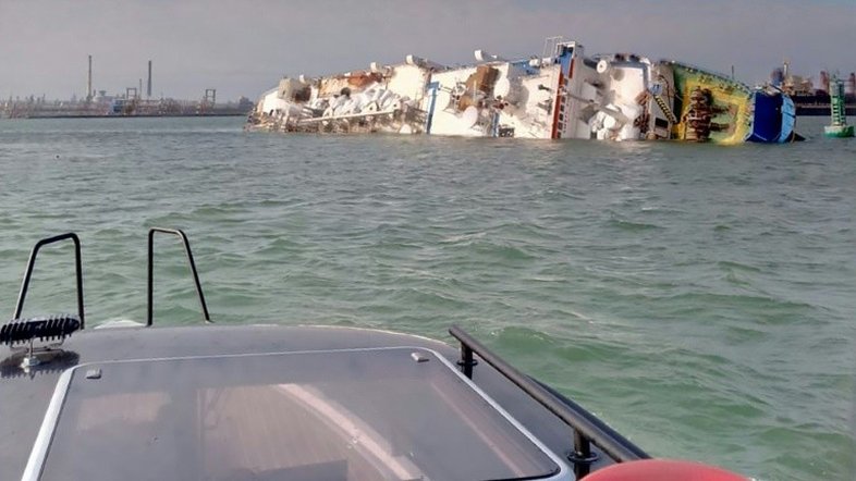 Barco com milhares de ovelhas naufraga no Mar Mar Negro