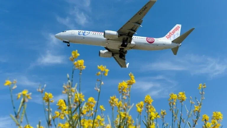 Iberia procura impulso na América Latina com compra da Air Europa