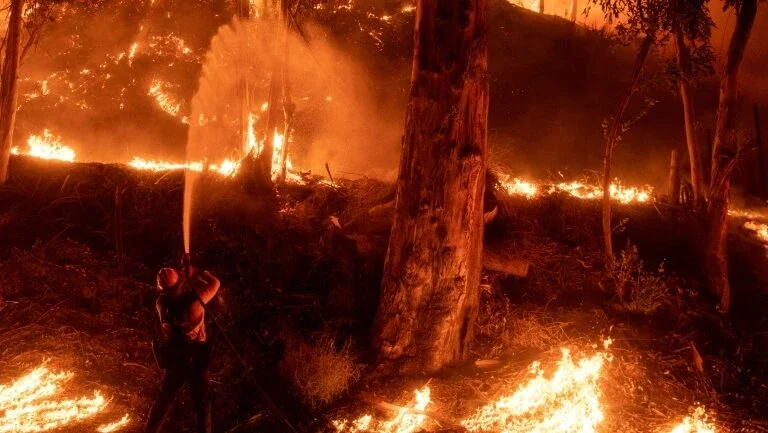 Maria, o novo incêndio no sul da Califórnia, arrasa 3.600 hectares