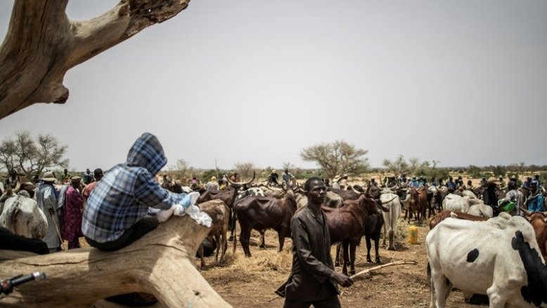 Nômades do Sahel estão cada vez mais ameaçados por mudanças climáticas