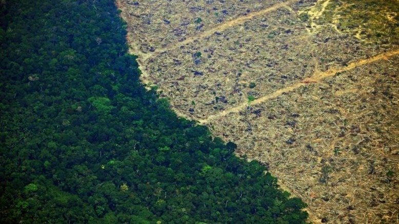 Desmatamento da Amazônia aumenta mais que o dobro em um ano