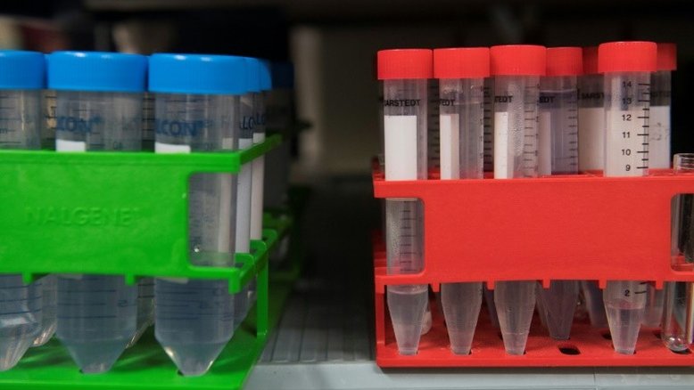 Hacker acessa dados médicos de 15 milhões de pacientes no Canadá