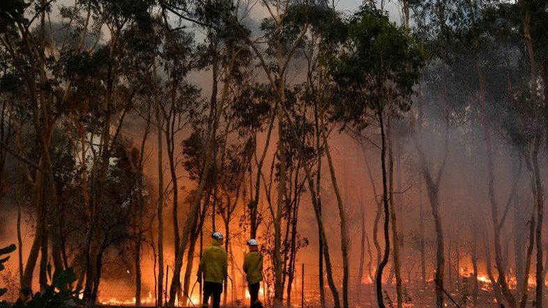 Austrália luta contra incêndios florestais e se prepara para onda de calor