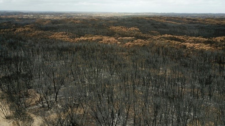 Tempestades apagam incêndios no leste da Austrália