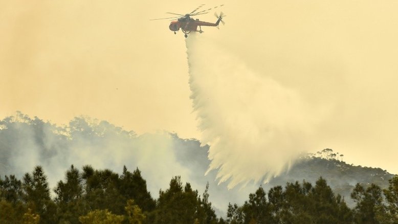 Bolsonaro critica 'silêncio' de Macron sobre incêndios na Austrália
