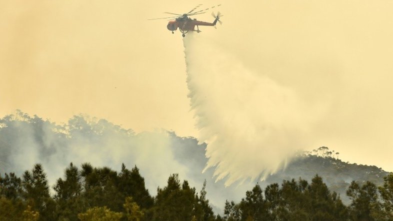Bolsonaro critica 'silêncio' de Macron sobre incêndios na Austrália