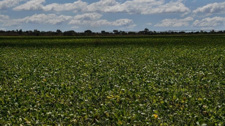 Paz comercial entre EUA e China pode sair caro para o Brasil